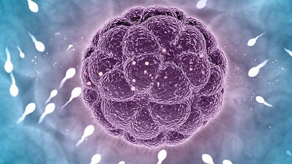 શુક્રાણુથી એલર્જીનો ઈલાજ