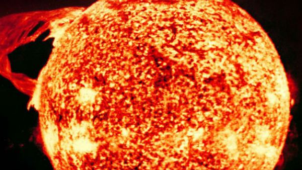 રિસર્ચમાં 400 વર્ષનો ડેટા સામેલ હતો