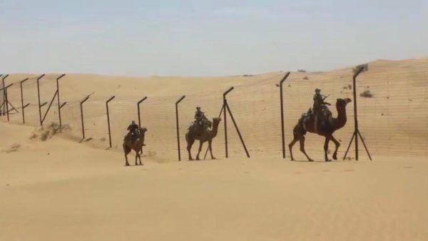 રણની રેતી પર તરત સેકાઈ જાય છે પાપડ