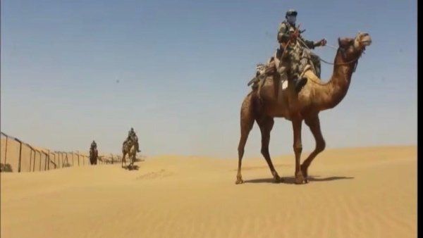 20 જવાનોને રણના સાપ કરડ્યા