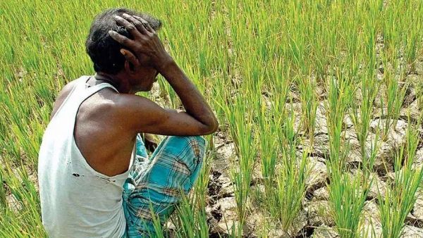 31 જુલાઈ સુધી બેંકને જાણકારી આપવાની રહેશે 31 જુલાઈ સુધી બેંકને જાણકારી આપવાની રહેશે