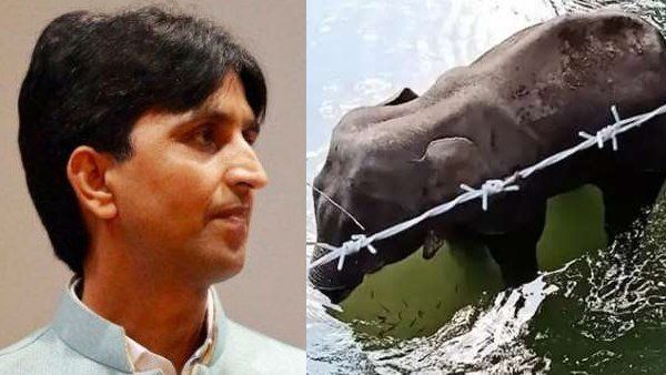 સગર્ભા હાથી સાથે થઇ બર્બરતા પર ભડક્યા કુમાર વિશ્વાસ, કહ્યું આ દર્દ સંભાળી નથી શકતો, I Can't Breath..