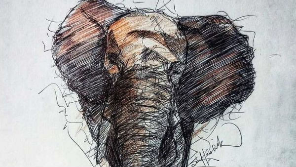 દર્દથી કહરતી હથીનીએ કોઇને નુકશાન નથી પહોંચાડ્યું