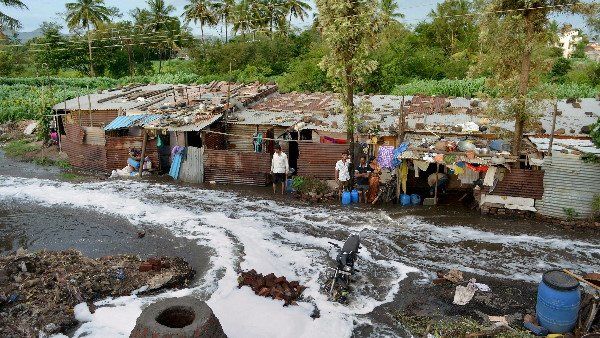 આઠ મેથી 27 મે સુધી ગંદા પાણીના સેમ્પલ ભેગા કર્યા