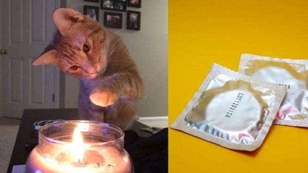 ક્યુ-ટિપ્સના બૉક્સ પર બિલાડીનો હુમલો ક્યુ-ટિપ્સના બૉક્સ પર બિલાડીનો હુમલો