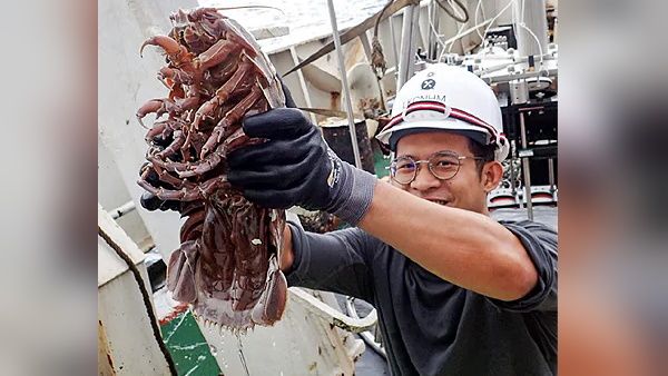 સોશિયલ મીડિયા પર તસવીરો વાયરલ