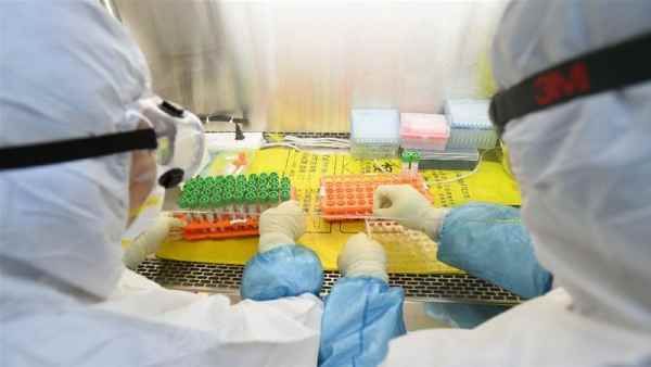 વાયરસમાં સમય સાથે પરિવર્તન