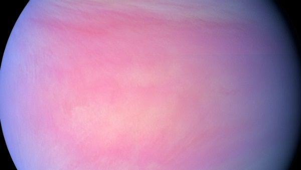 કેટલીક ખાસ વાતો