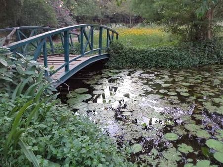 9. લૉ ગાર્ડન