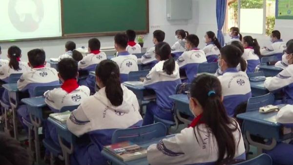 સંસ્કૃતનું મહત્વ