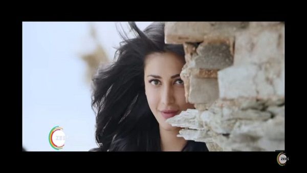 શ્રુતિ હસને શેર કરી સ્ટોરી