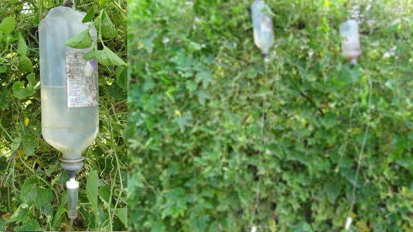 દર મહિને થાય છે 15 હજાર રૂપિયાથી વધુની કમાણી દર મહિને થાય છે 15 હજાર રૂપિયાથી વધુની કમાણી