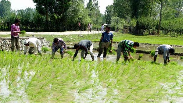 જગતના તાત માટે ખાસ સમાચાર, ખેડૂતોને લોન આપવા માટે હવે સેટેલાઈટનો ઉપયોગ થશે