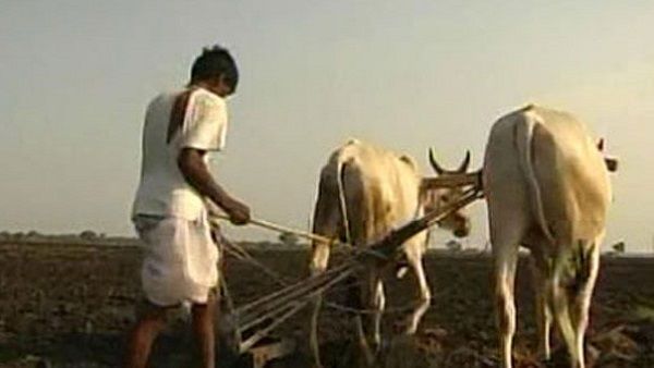 જો તાજેતરમાં જ ખાતું અલગ કર્યું હોય તો કઈ રીતે લાભ લેવો