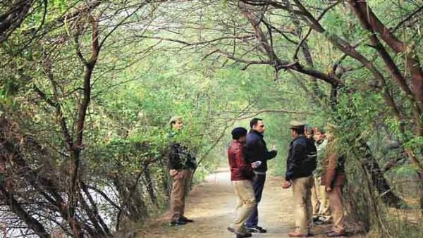 વન રક્ષકોની ચીમકી- માંગણી નહિ સ્વિકારાય તો ગાંધી ચિંધ્યા માર્ગે આંદોલનો થશે