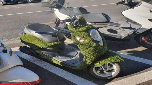 ગ્રિનરી વાળું સ્કુટર