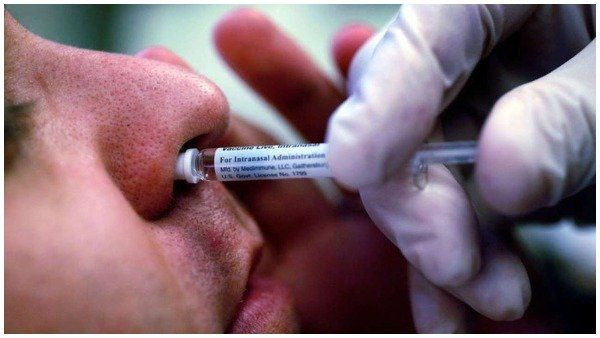 વૈજ્ઞાનિકોએ સમજાવ્યુ આયોડીન કેવી રીતે કરશે વાયરસને ખતમ