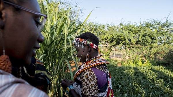 કેવી રીતે ચાલે છે ખર્ચ?