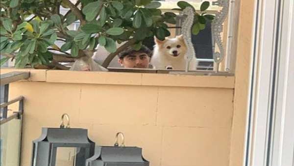 મલાઈકાને દૂરથી જોઈ રહ્યા છે અરહાન અને ડૉગી