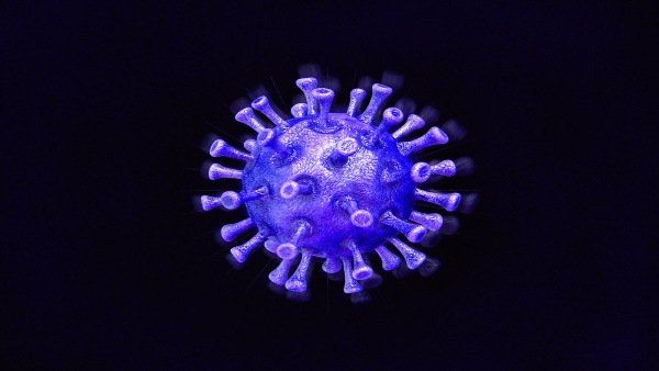 SARS-CoV-2માં નવા ડાયગ્નોસ્ટિક ટેસ્ટને જલદી વિકસિત કરી શકાય છે
