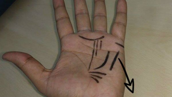 હસ્તરેખા શાસ્ત્રમાં હથેળીમાં ધન ભંડારાનુ વર્ણન મળે છે..