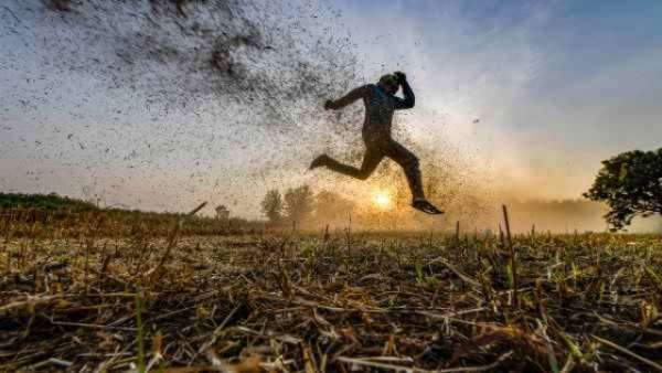 શું ચોરી કર્યુ તે?