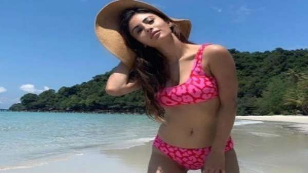 બોલ્ડ અવતાર