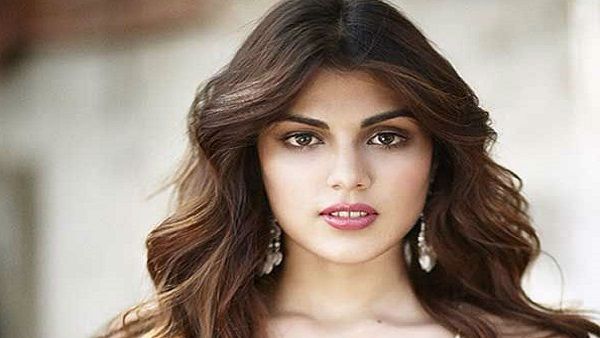 નવું અપડેટ આવ્યું