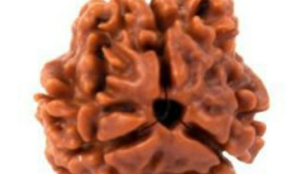 ભારતીય જ્યોતિષ ચિકિત્સા