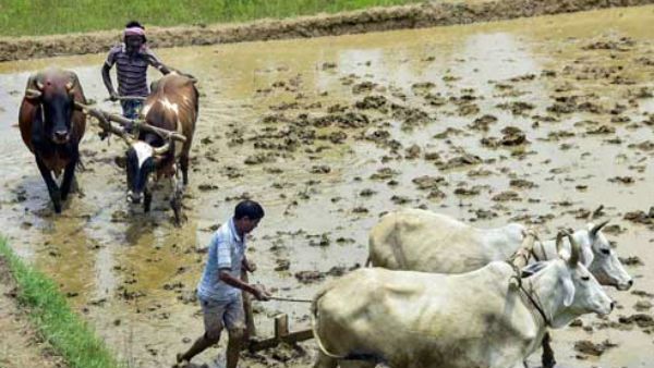 વિપક્ષે રાષ્ટ્રપતિને હસ્તાક્ષર ન કરવાની કરી અપીલ