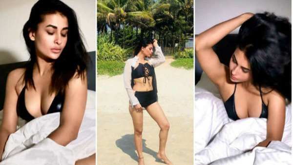 સોશિયલ મીડિયા પર લોકપ્રિયતા