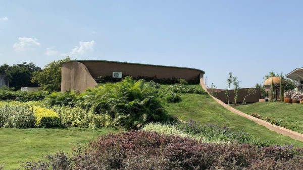 પારંપરિક રીતે કેન્દ્રિત છે વન