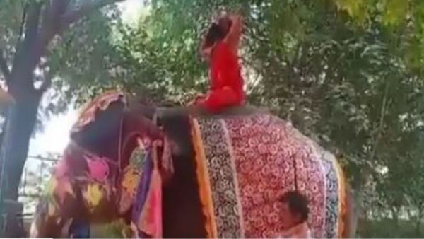 Video: હાથી પર બેસીને યોગ કરતી વખતે પડ્યા બાબા રામદેવ, વીડિયો થયો વાયરલ