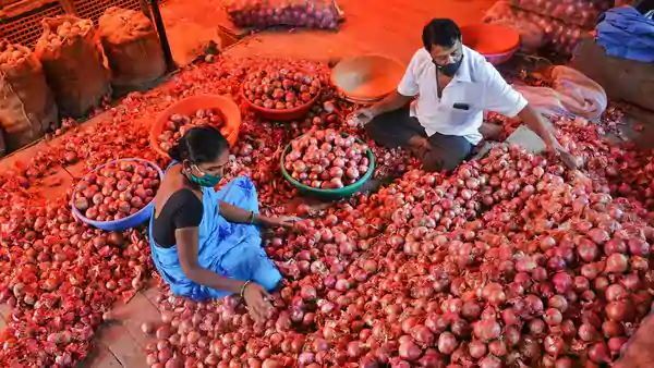 ડુંગળીની કિંમતને લઈ સરકારનો જબરો ફેસલો, આયાત નિયમોમાં ઢીલ આપી