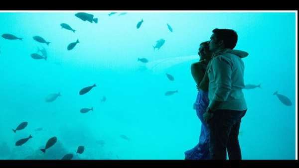 બ્લુ આઉટફીટમાં છે કપલ