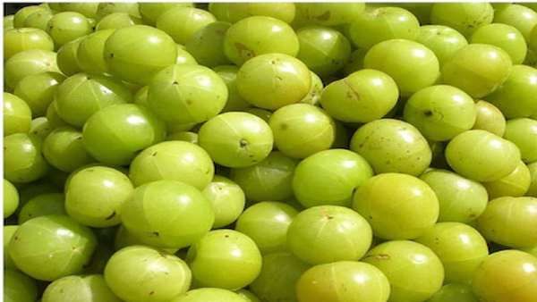 કેવી રીતે કરશો આંબળા નવમીની પૂજા