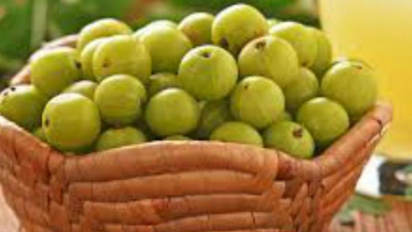 મથુરા પ્રસ્થાન કર્યુ હતુ શ્રીકૃષ્ણએ