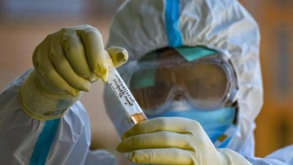 ફેલુદા પ્રથમ સ્વદેશી કીટ ફેલુદા પ્રથમ સ્વદેશી કીટ