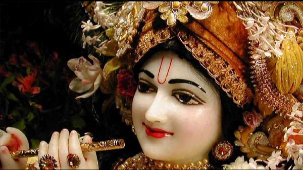 કૌરવ વંશનો સમૂળ નાશ થઈ ચૂક્યો હતો કૌરવ વંશનો સમૂળ નાશ થઈ ચૂક્યો હતો