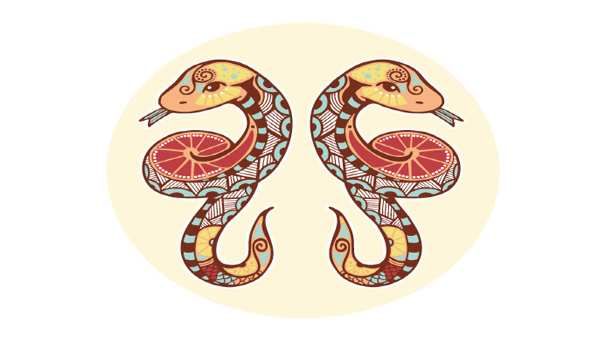 મિથુન (20 મેથી 20 જૂન): મિથુન (20 મેથી 20 જૂન):