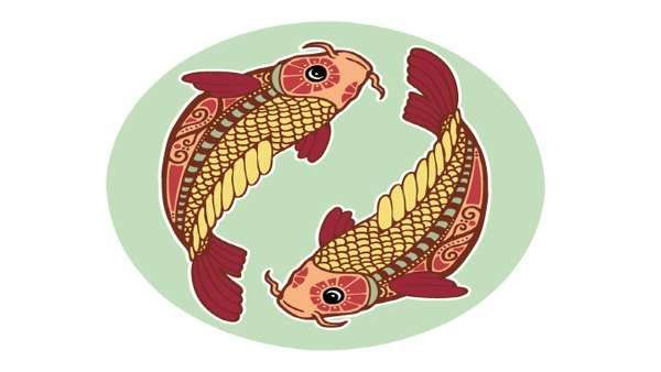 મીન (19 ફેબ્રુઆરીથી 19 માર્ચ): મીન (19 ફેબ્રુઆરીથી 19 માર્ચ):