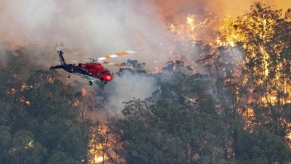 ઑસ્ટ્રેલિયાના જંગલોમાં લાગી આગ(2019-2020)