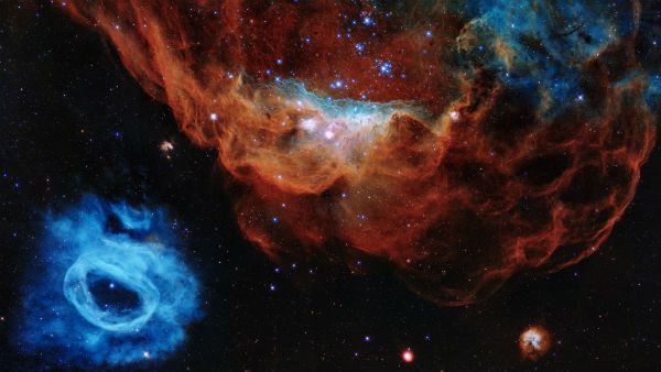 ચાર તસવીરો શેર કરી