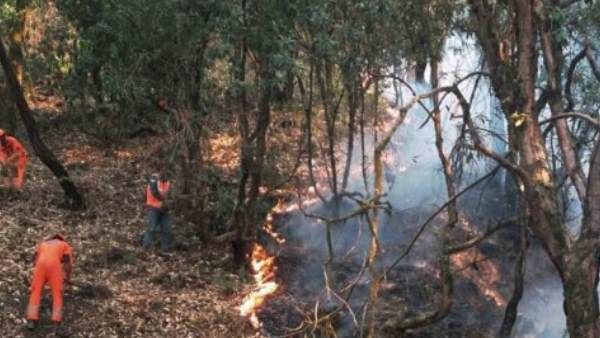 Natural Calamities in 2020: દુનિયામાં આવી આ 10 મોટી કુદરતી આફતો, ક્યાંક બરફ તો ક્યાંક આગ