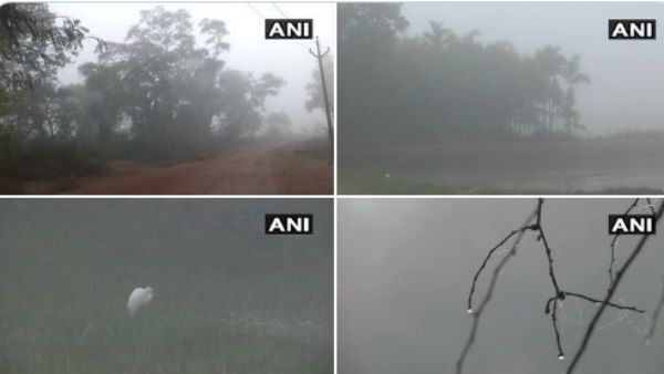 ઘણા વિસ્તારોમાં ગાઢ ધૂમ્મસ