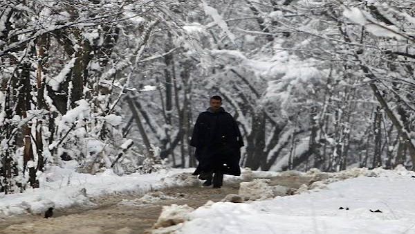 હૈદર હૈદર