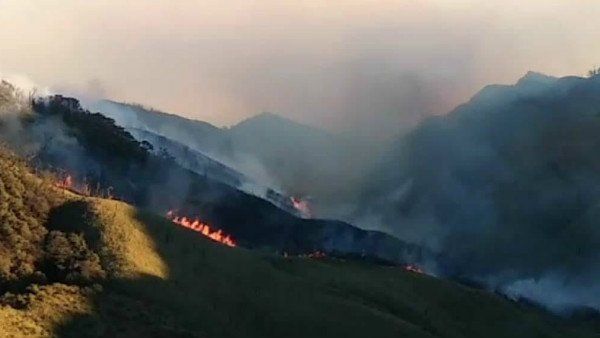 Manipur: દજુકોઉ ઘાટીના જંગલોમાં ભીષણ આગ, ગૃહમંત્રી અમિત શાહે CM સાથે કરી વાત