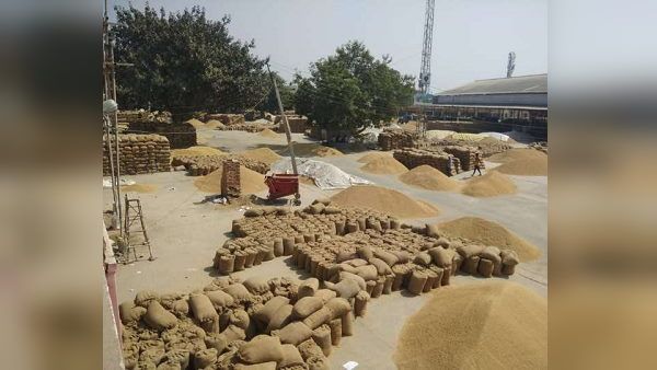 દરેક ગ્રાન્યુલ એમએસપી પર ખરીદશે