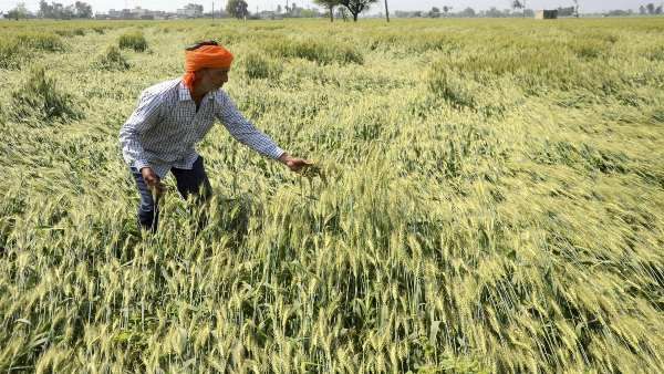 ખેતરમાં કામ અસુરક્ષિત થઈ જશે