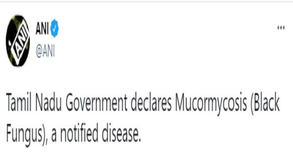 બ્લેક ફંગસના લક્ષણ